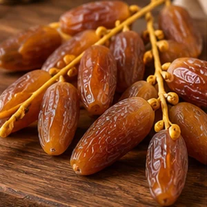 Deglet Nour Dates on the Branch